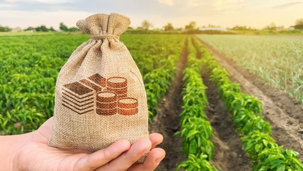 الإستثمار الزراعي في كندا 