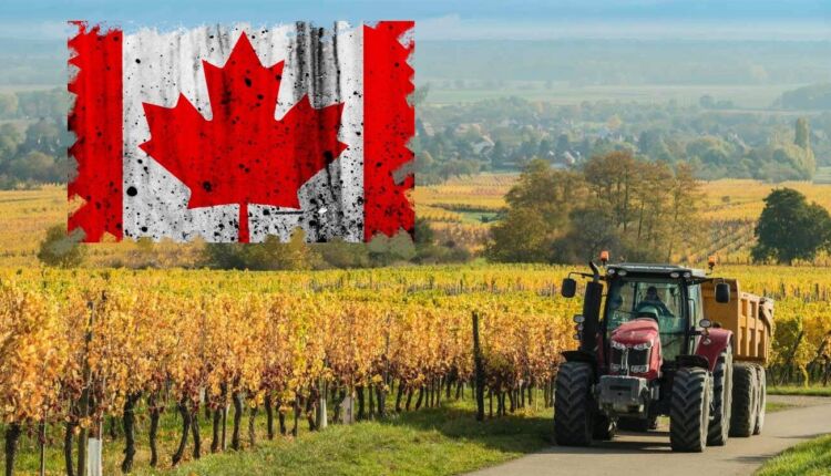 الإستثمار الزراعي في كندا