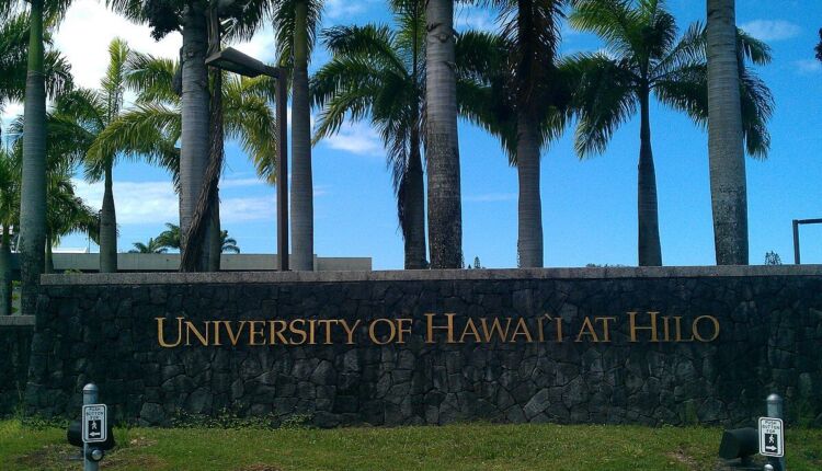 منحة جامعة هاواي في أمريكا