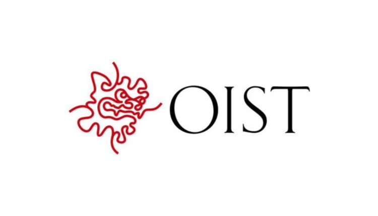 منحة الدكتوراه من OIST للدراسة في اليابان 2023 بتمويل كامل